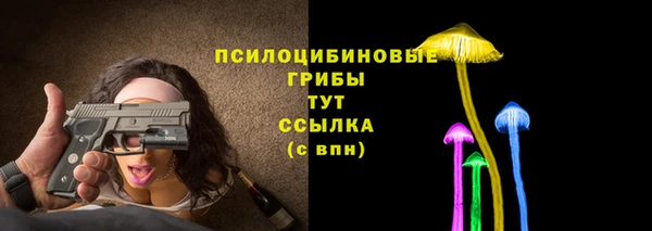 шишки Володарск