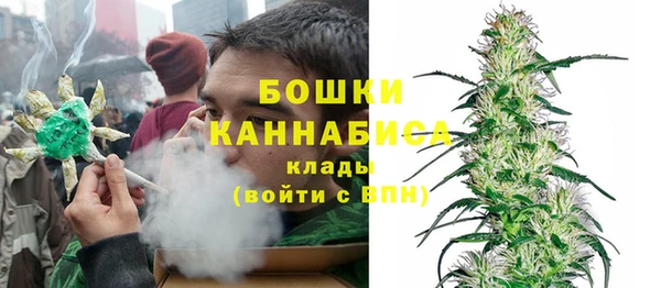 шишки Володарск