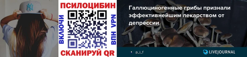hydra ТОР  нарко площадка Telegram  Камбарка  Галлюциногенные грибы мухоморы  закладки 